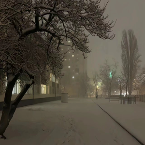 性欧美内谢一Vide0Se
